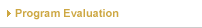 Program Evaluation